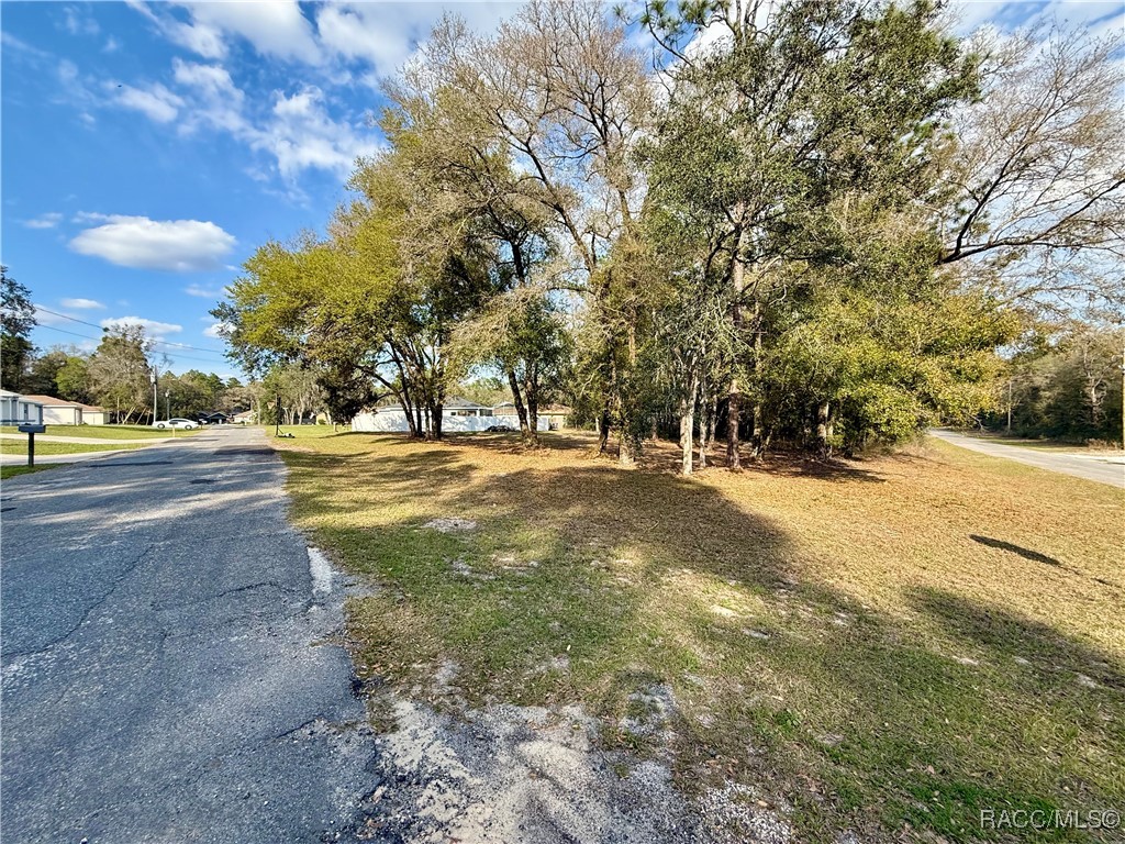 151 W Reef Lane, Dunnellon, Florida image 6