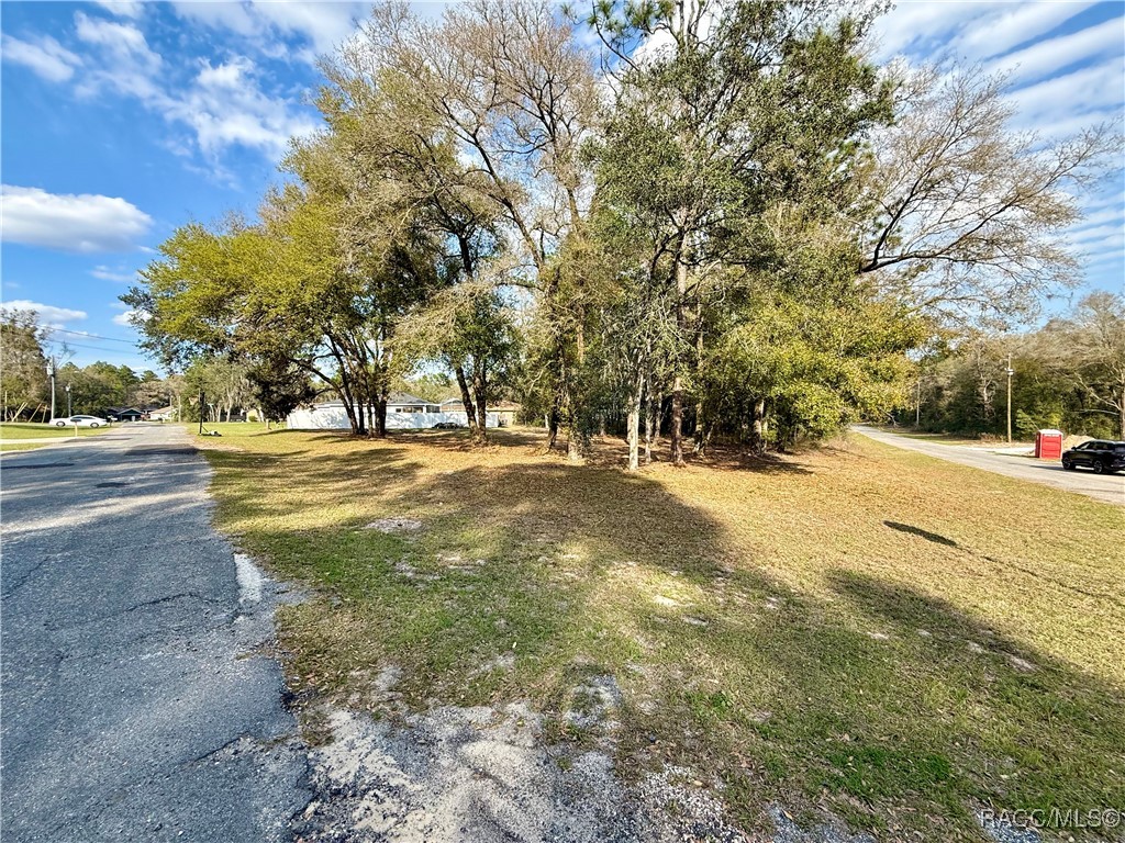 151 W Reef Lane, Dunnellon, Florida image 5