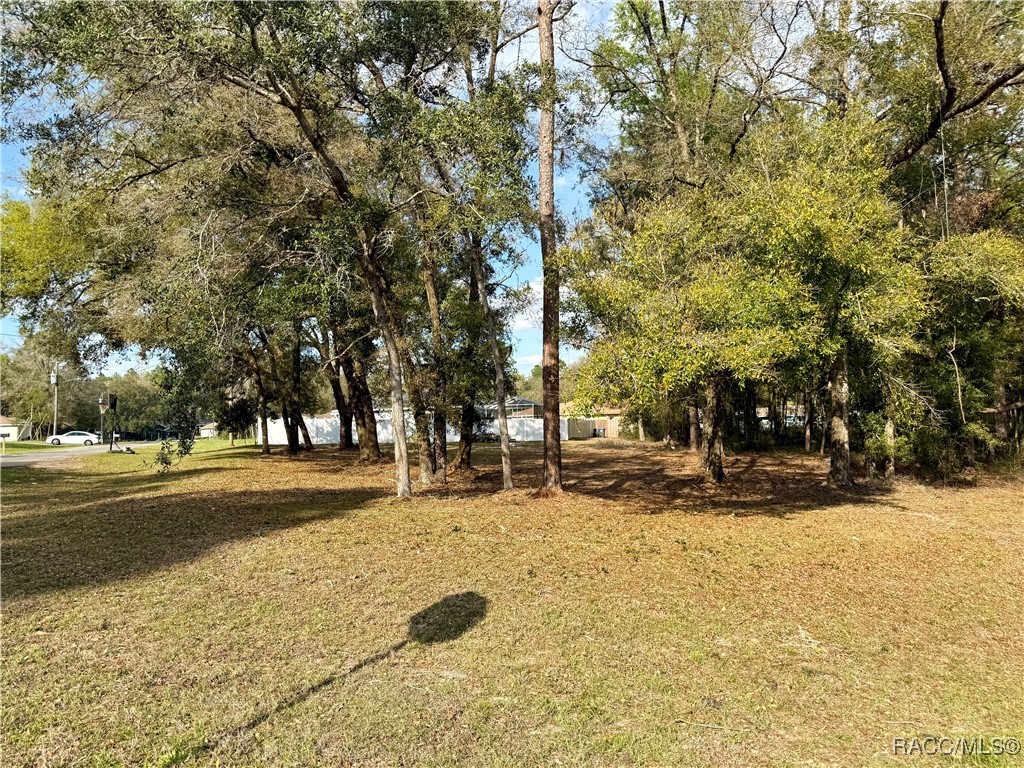151 W Reef Lane, Dunnellon, Florida image 4