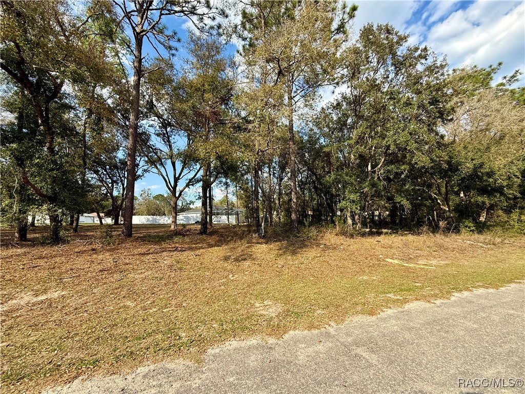 151 W Reef Lane, Dunnellon, Florida image 1
