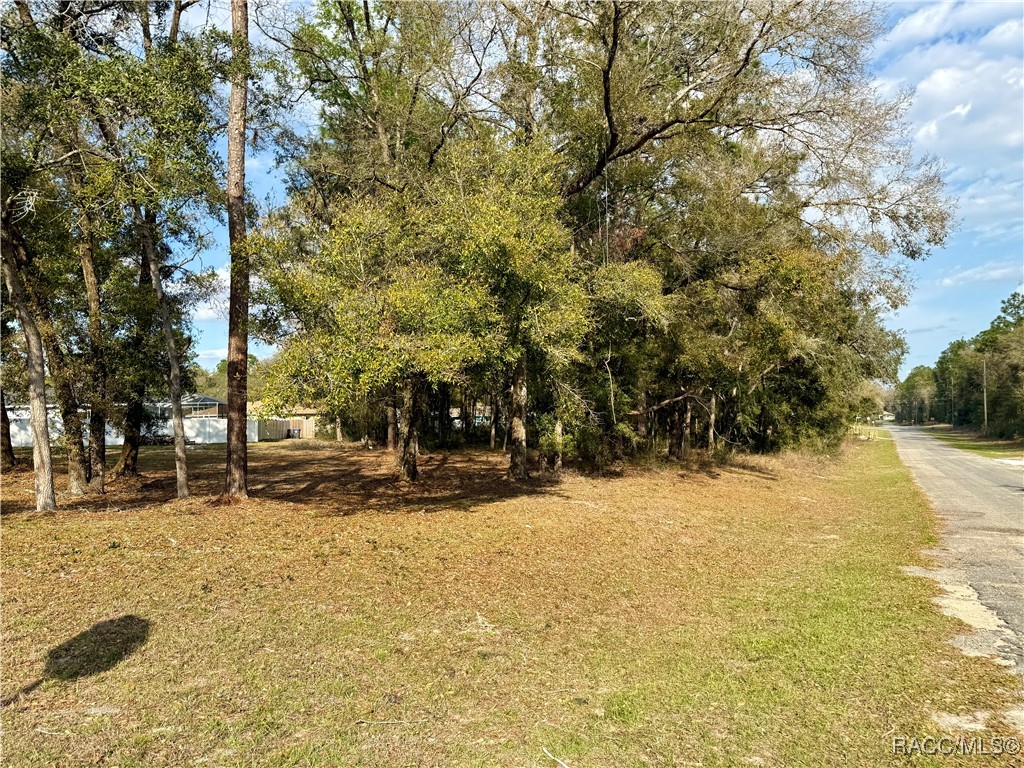151 W Reef Lane, Dunnellon, Florida image 3