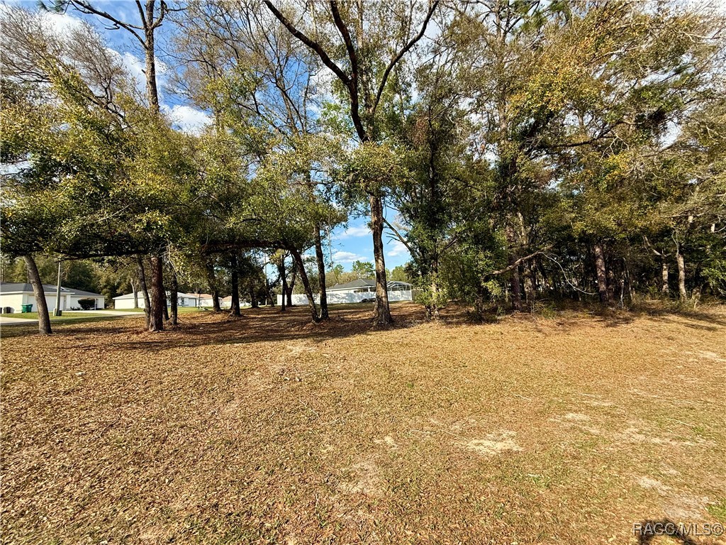 151 W Reef Lane, Dunnellon, Florida image 2