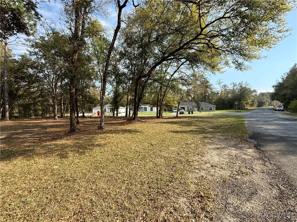 151 W Reef Lane, Dunnellon, Florida image 8
