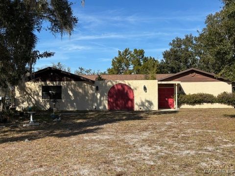 53 N Archwood Drive Inverness FL 34450