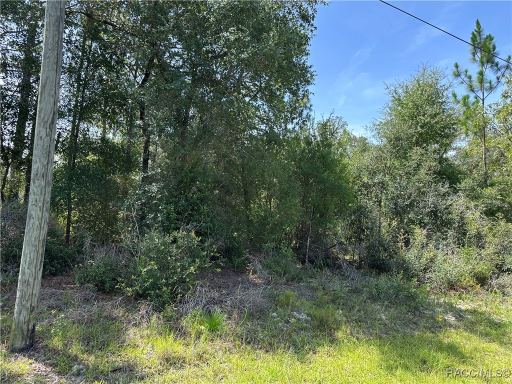 Photo 1 of 1 — 1498 E Carson Road, Dunnellon, FL 34434
