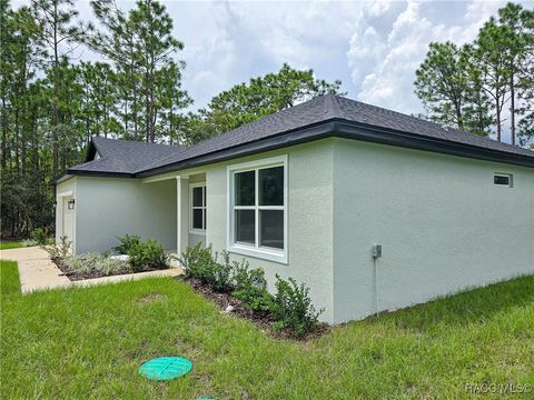 A home in Citrus Springs