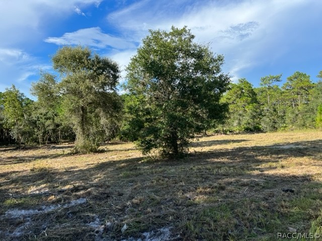 7609 N Golf Club Street, Crystal River, Florida image 10