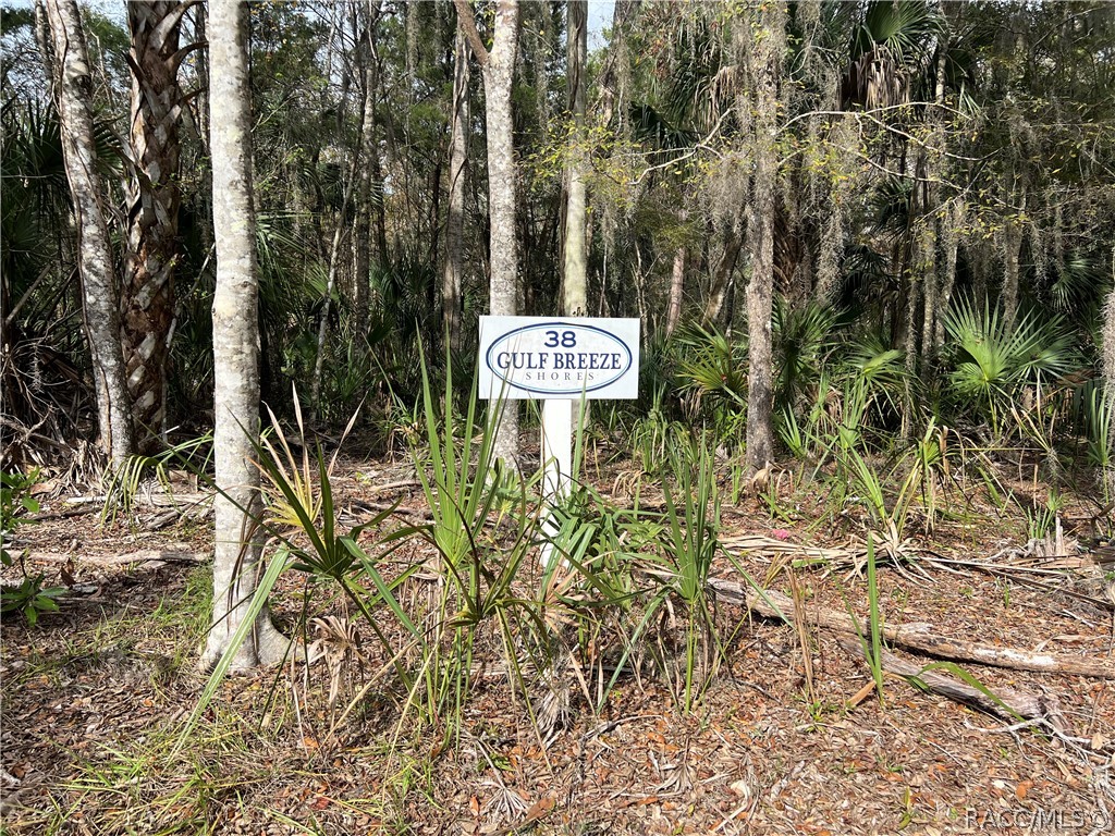 13093 W Gulf Shores Street