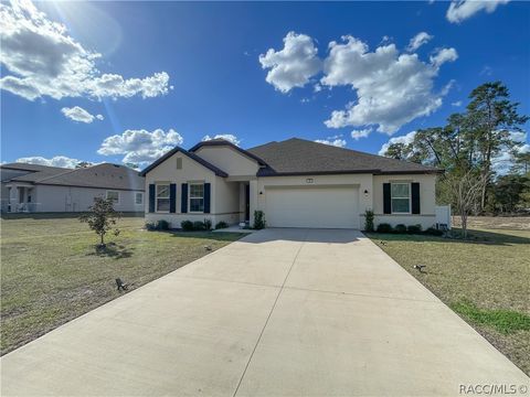 2 Chrysanthemum Court Homosassa FL 34446