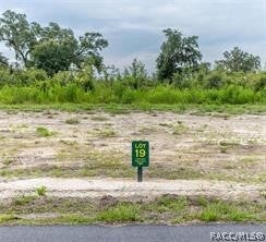 1459 OXFORD PRESERVE TRL, OXFORD, FL 34484 - Image 21f30a2bd09f68d8b9052d59b9221199/1763328513