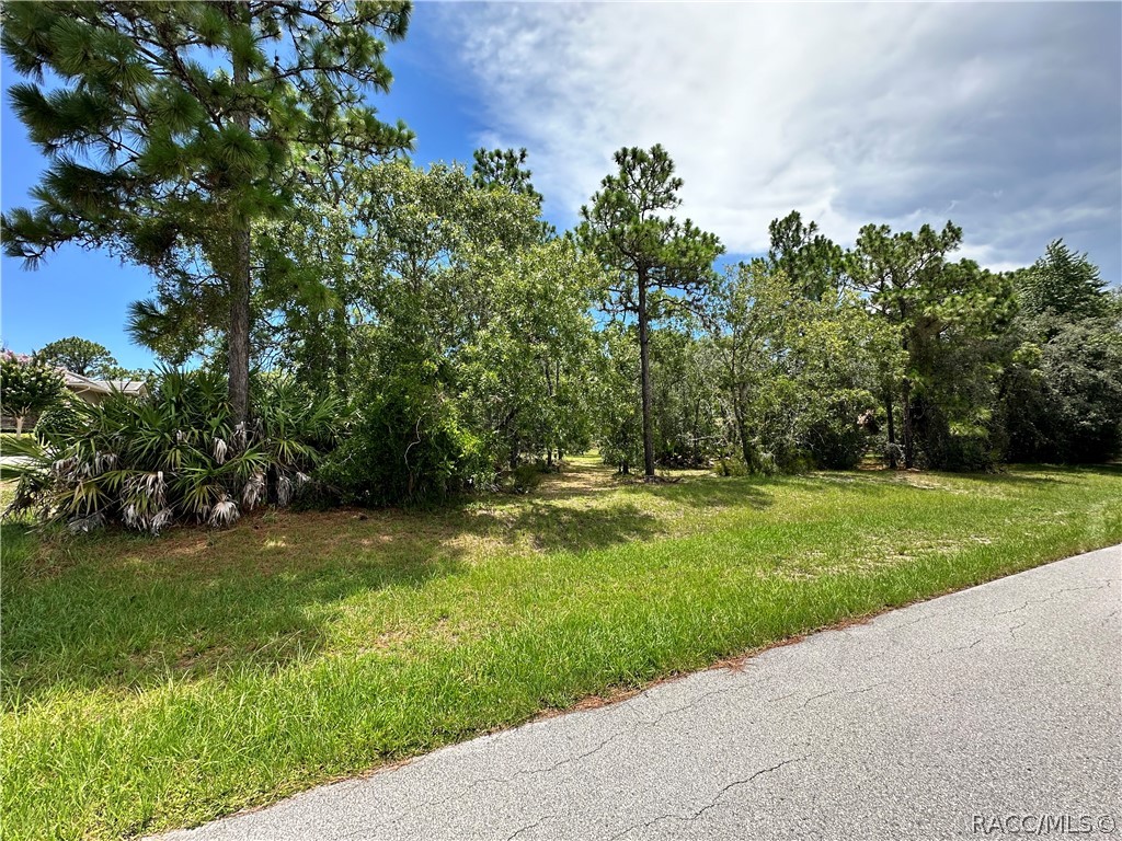 3951 N Grayhawk Loop, Lecanto, Florida image 3