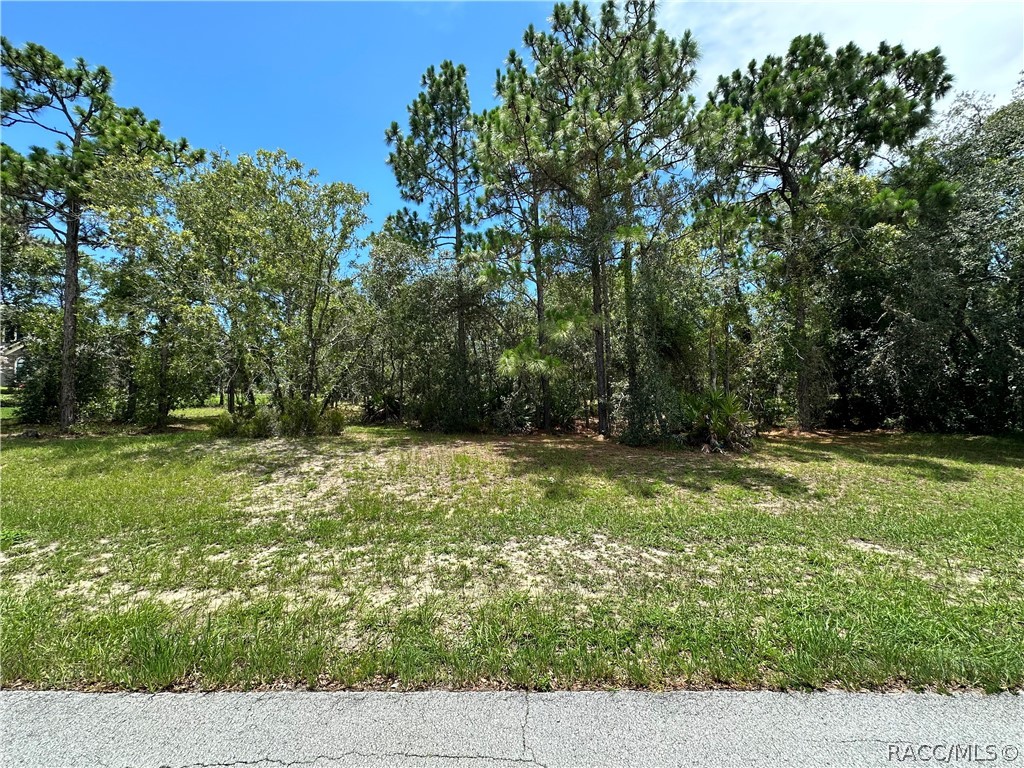 3951 N Grayhawk Loop, Lecanto, Florida image 4