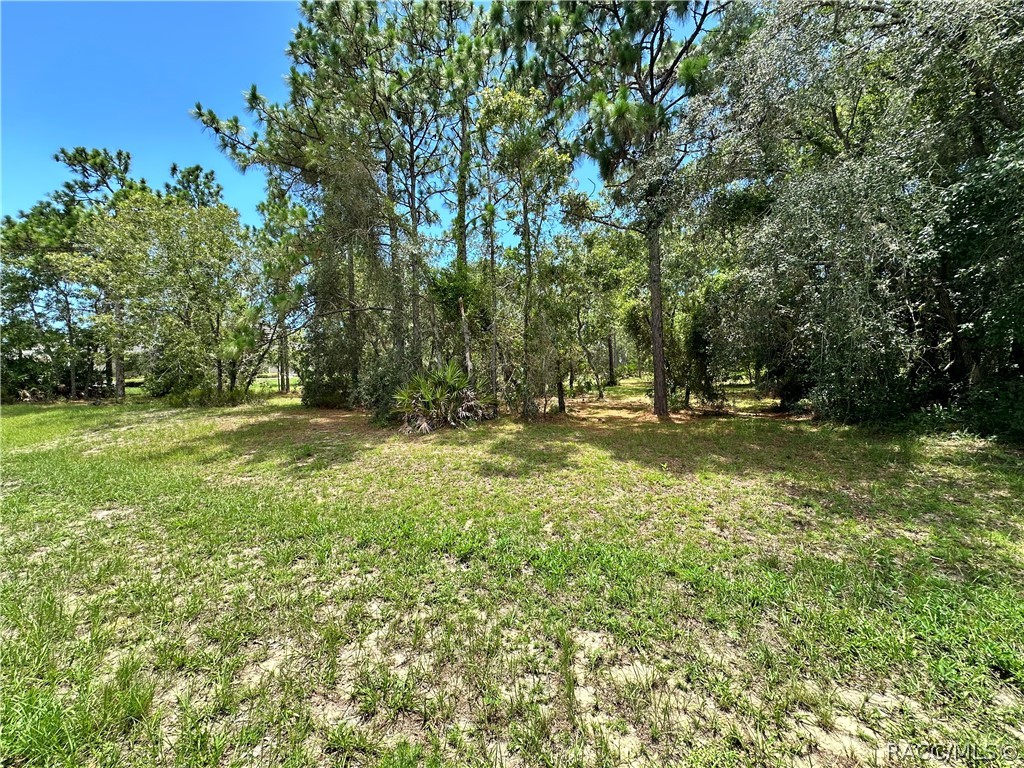 3951 N Grayhawk Loop, Lecanto, Florida image 2