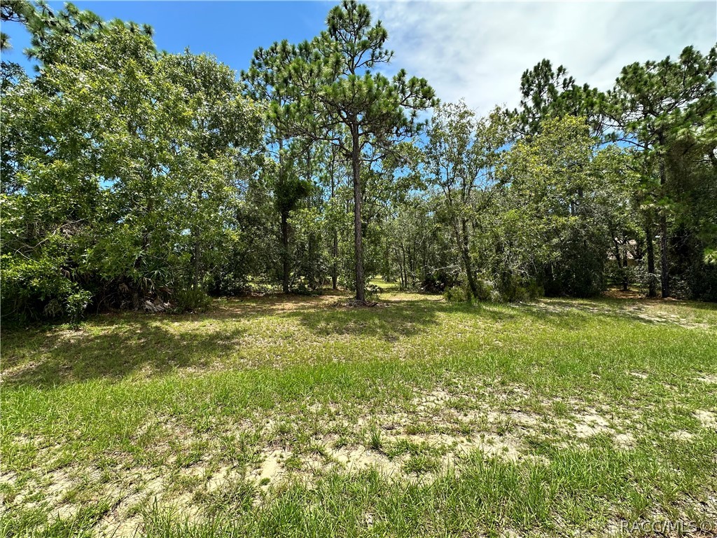 3951 N Grayhawk Loop, Lecanto, Florida image 1