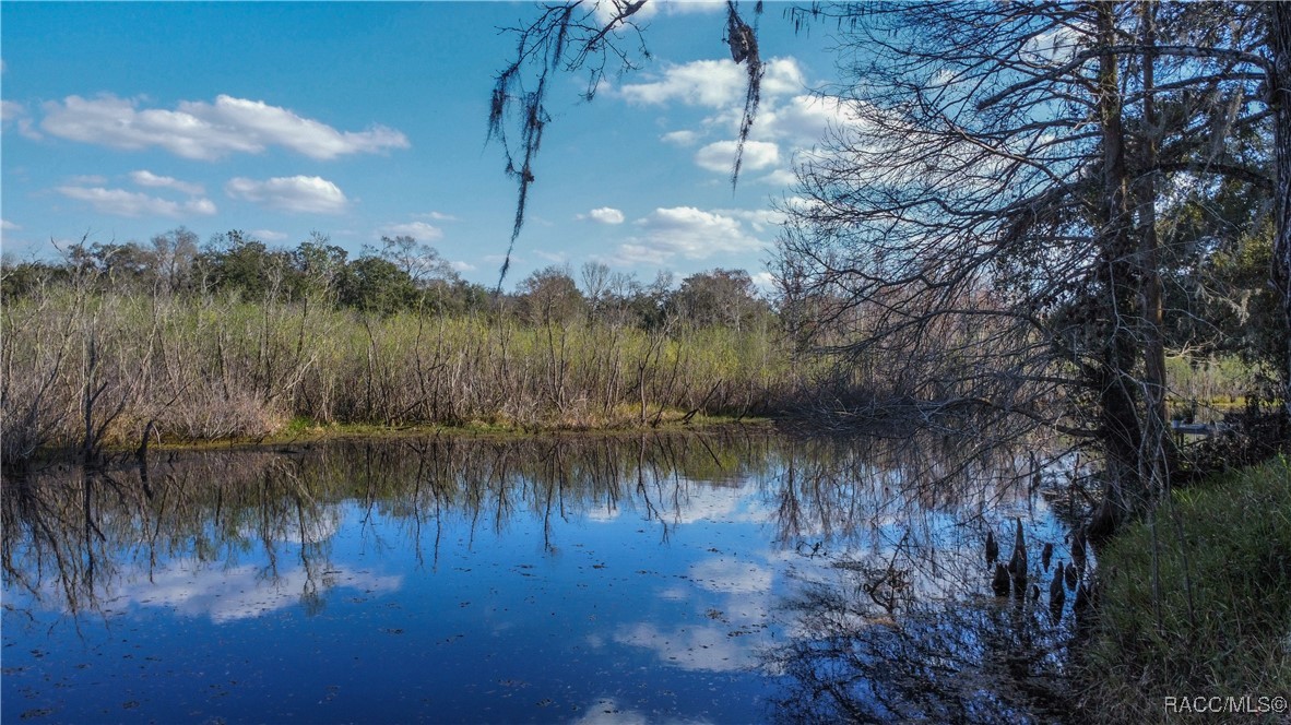 5500 S Marlin Point, Floral City, Florida image 46