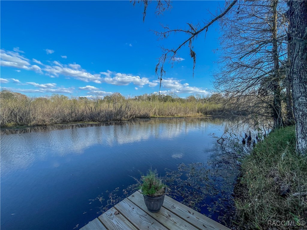 5500 S Marlin Point, Floral City, Florida image 47