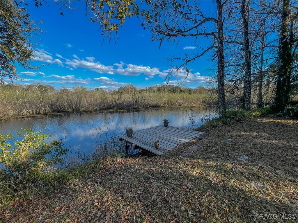 5500 S Marlin Point, Floral City, Florida image 45