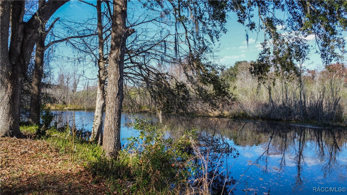 5500 S Marlin Point, Floral City, Florida image 49