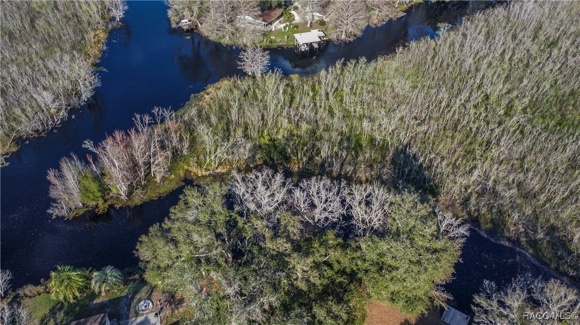 5500 S Marlin Point, Floral City, Florida image 26