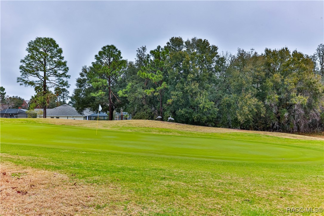 706 Lake Diamond Avenue, Ocala, Florida image 9