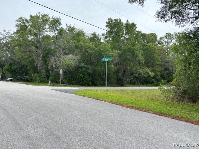 359 N Fitzpatrick Avenue, Inverness, Florida image 6