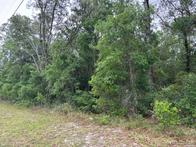 359 N Fitzpatrick Avenue, Inverness, Florida image 4