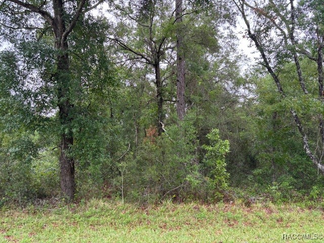 359 N Fitzpatrick Avenue, Inverness, Florida image 3