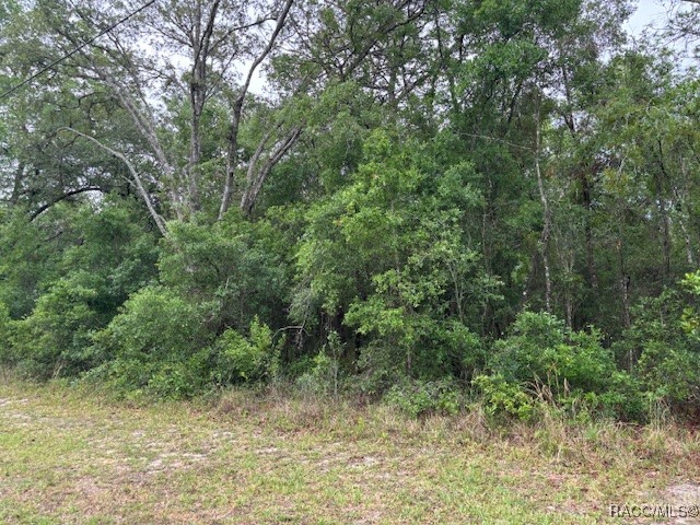 359 N Fitzpatrick Avenue, Inverness, Florida image 5
