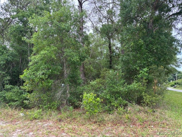359 N Fitzpatrick Avenue, Inverness, Florida image 1