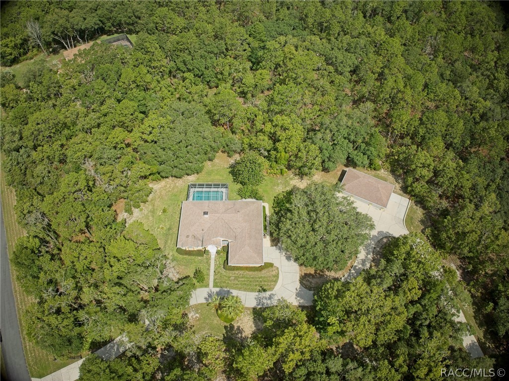 3105 N Buckhorn Drive, Beverly Hills, Florida image 49