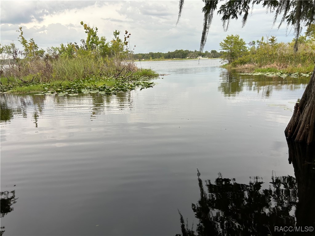 8949 E Cashiers Court, Inverness, Florida image 3