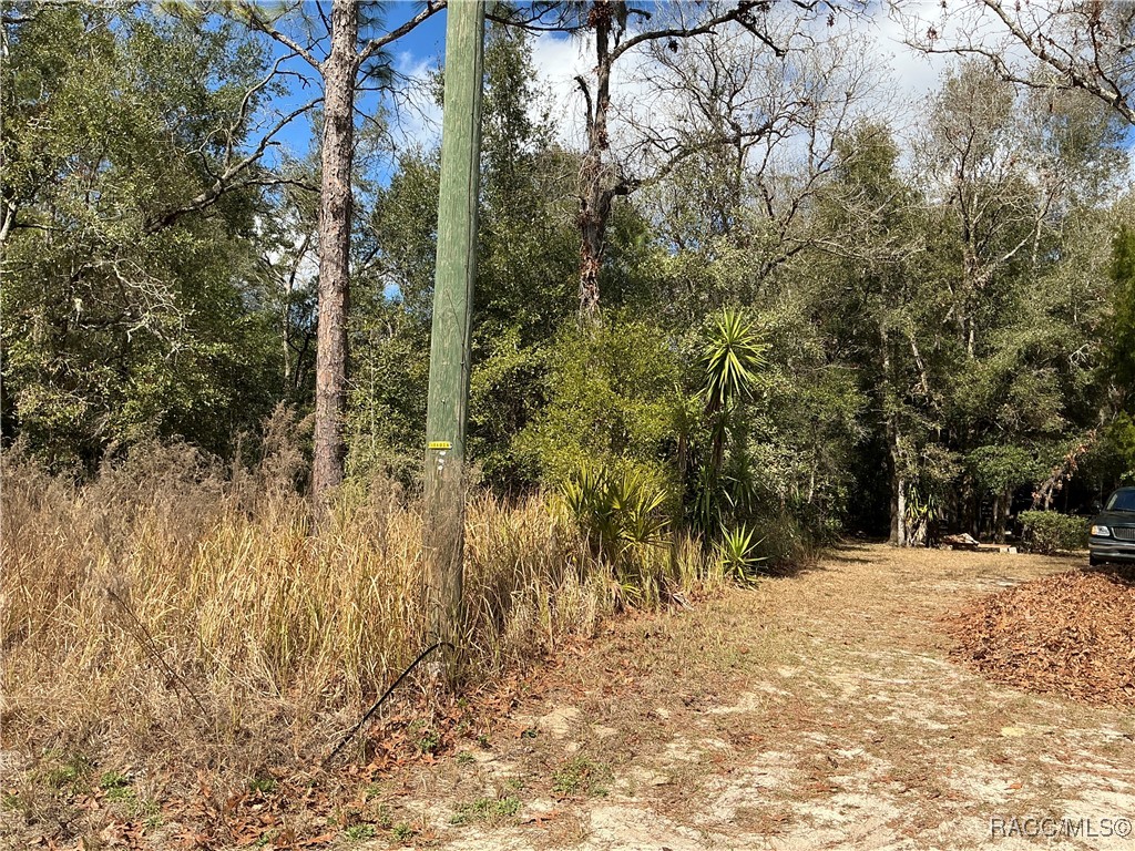 2097 W Mesa Verde Drive, Beverly Hills, Florida image 4