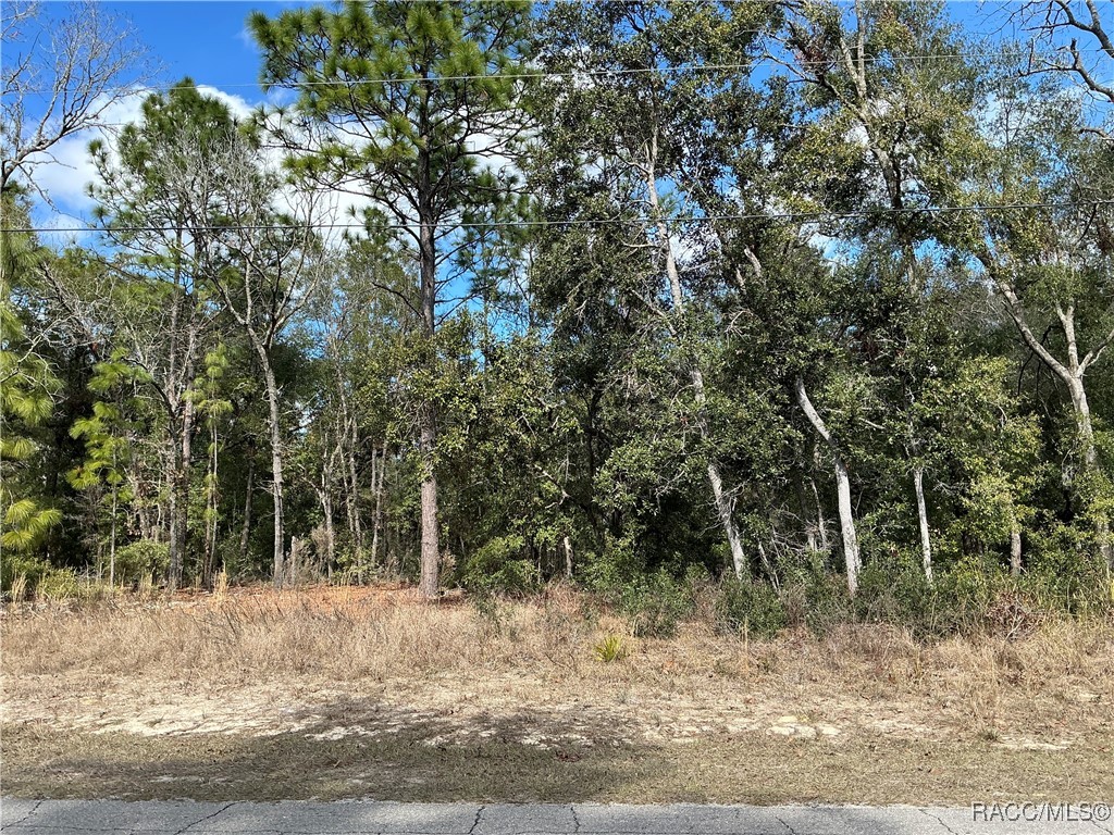 2097 W Mesa Verde Drive, Beverly Hills, Florida image 1