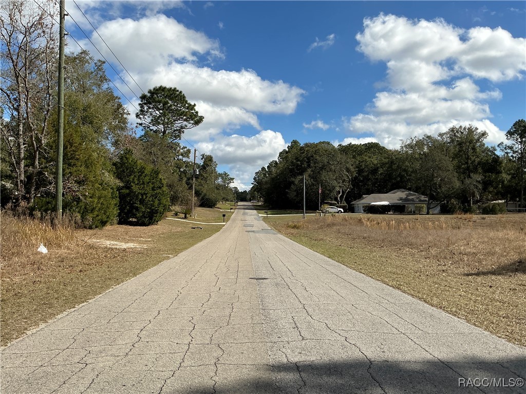 2097 W Mesa Verde Drive, Beverly Hills, Florida image 6