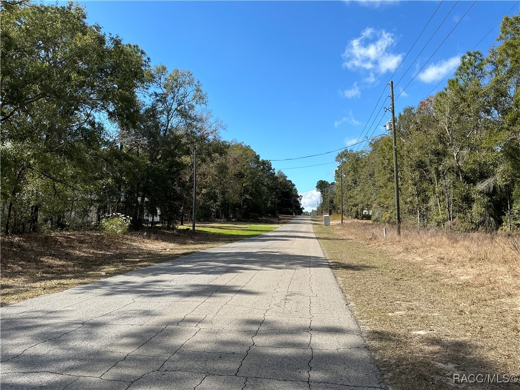 2097 W Mesa Verde Drive, Beverly Hills, Florida image 5