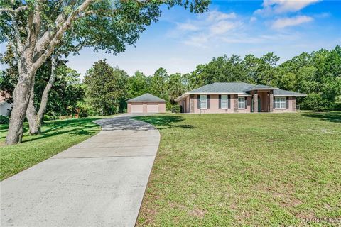 1282 N Rabeck Avenue Lecanto FL 34461