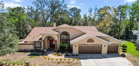 17 Jungleplum Court S, Homosassa, FL 34446 - MLS#: 842248
