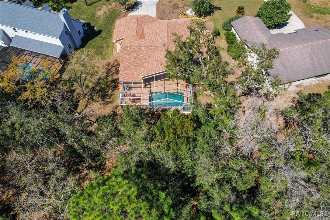17 Jungleplum Court, Homosassa, New York image 46