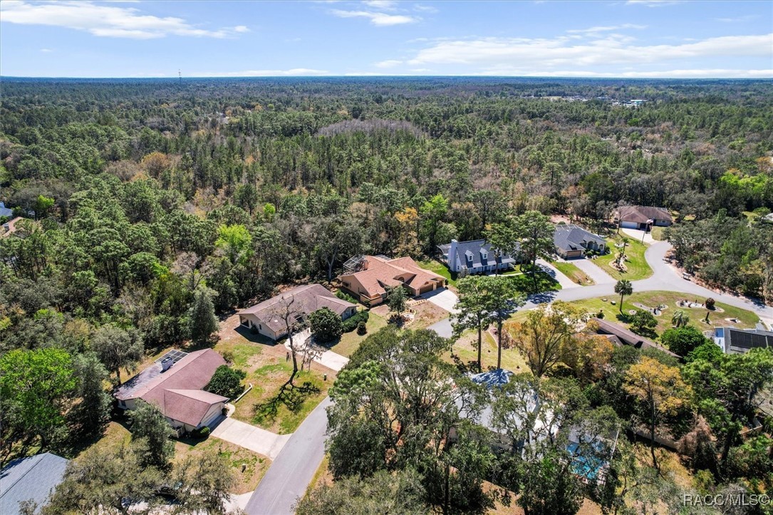 17 Jungleplum Court, Homosassa, New York image 48