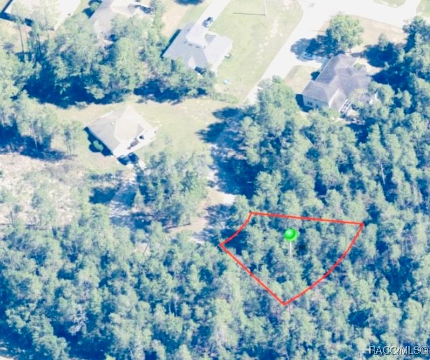 5 Sedum Court, Homosassa, New York image 2