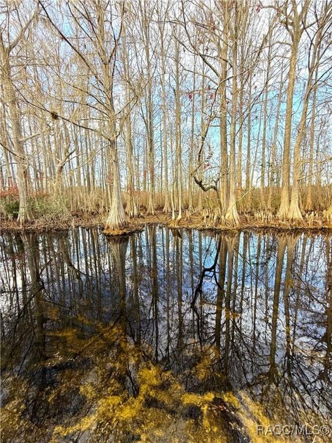 11615 E Salmon Drive Floral City FL 34436