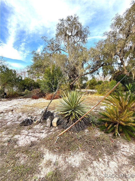 11615 E Salmon Drive