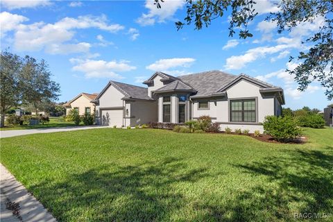 A home in Hernando