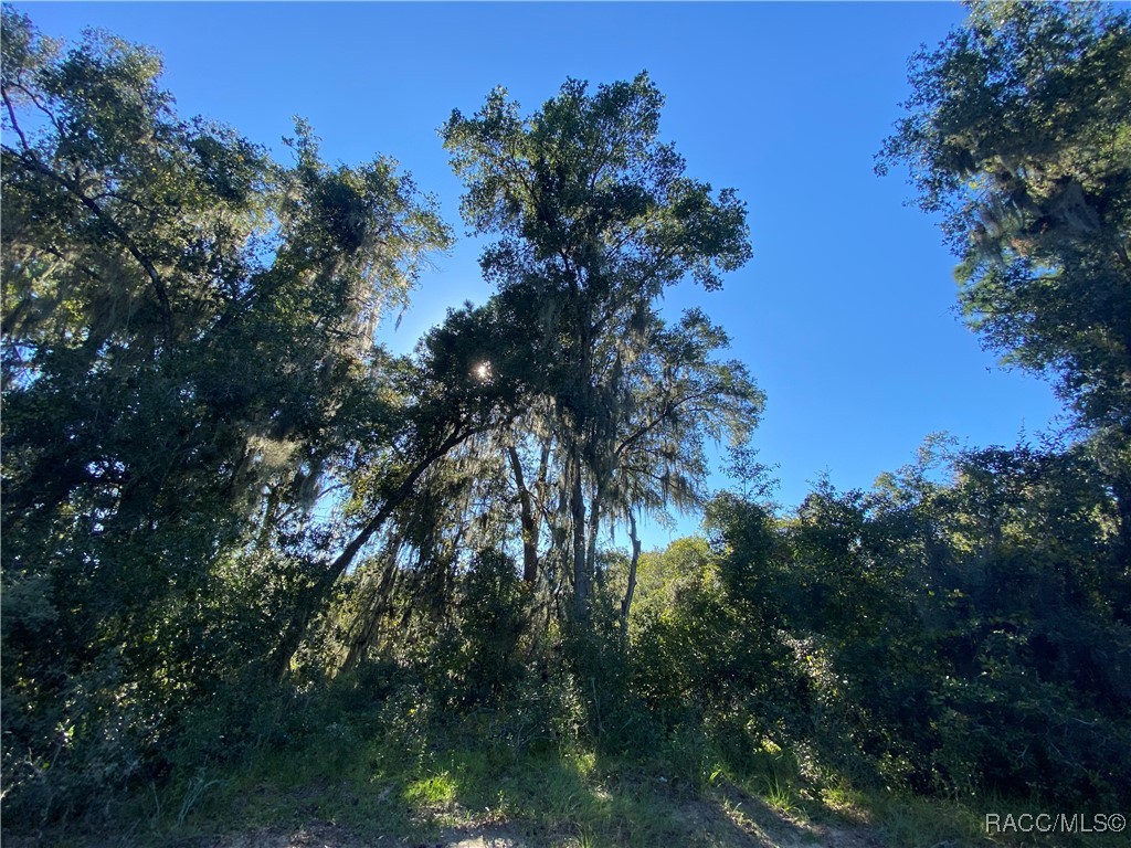 7373 E Savannah Court, Floral City, Florida image 33