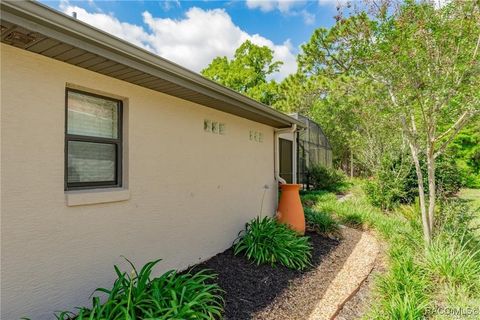 A home in Homosassa