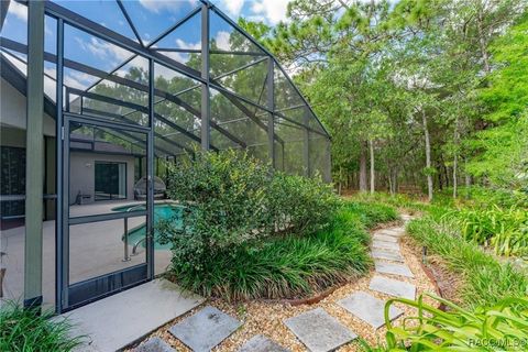 A home in Homosassa