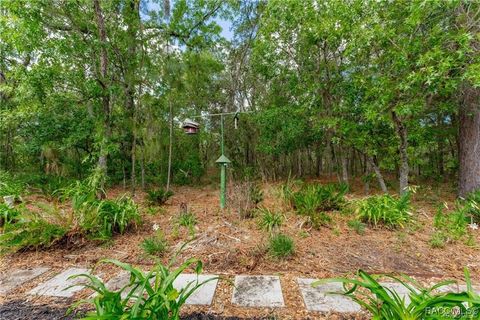 A home in Homosassa