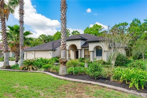 A home in Homosassa