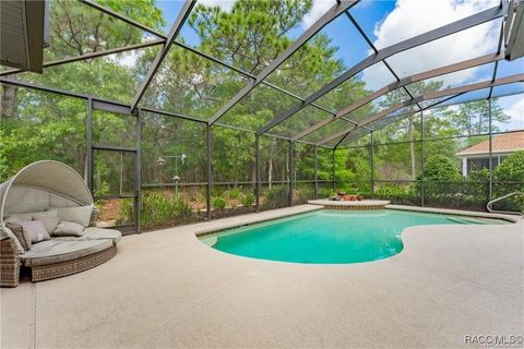 A home in Homosassa