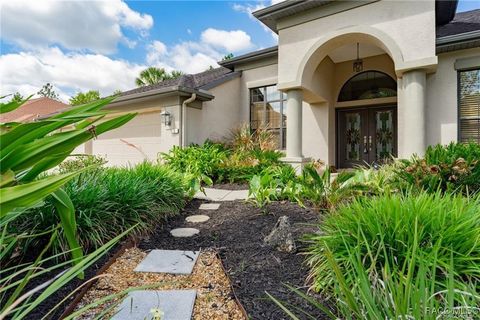 A home in Homosassa